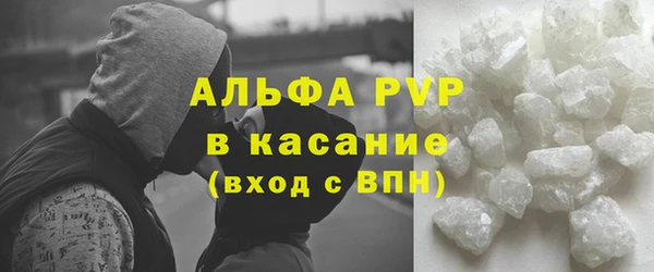 сатива Аркадак