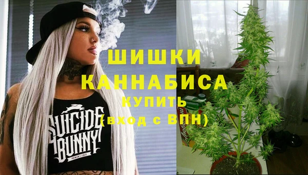 сатива Аркадак