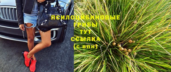 молекула духа Баксан